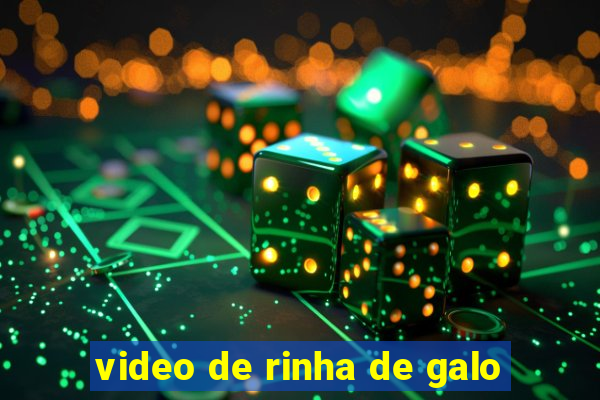 video de rinha de galo